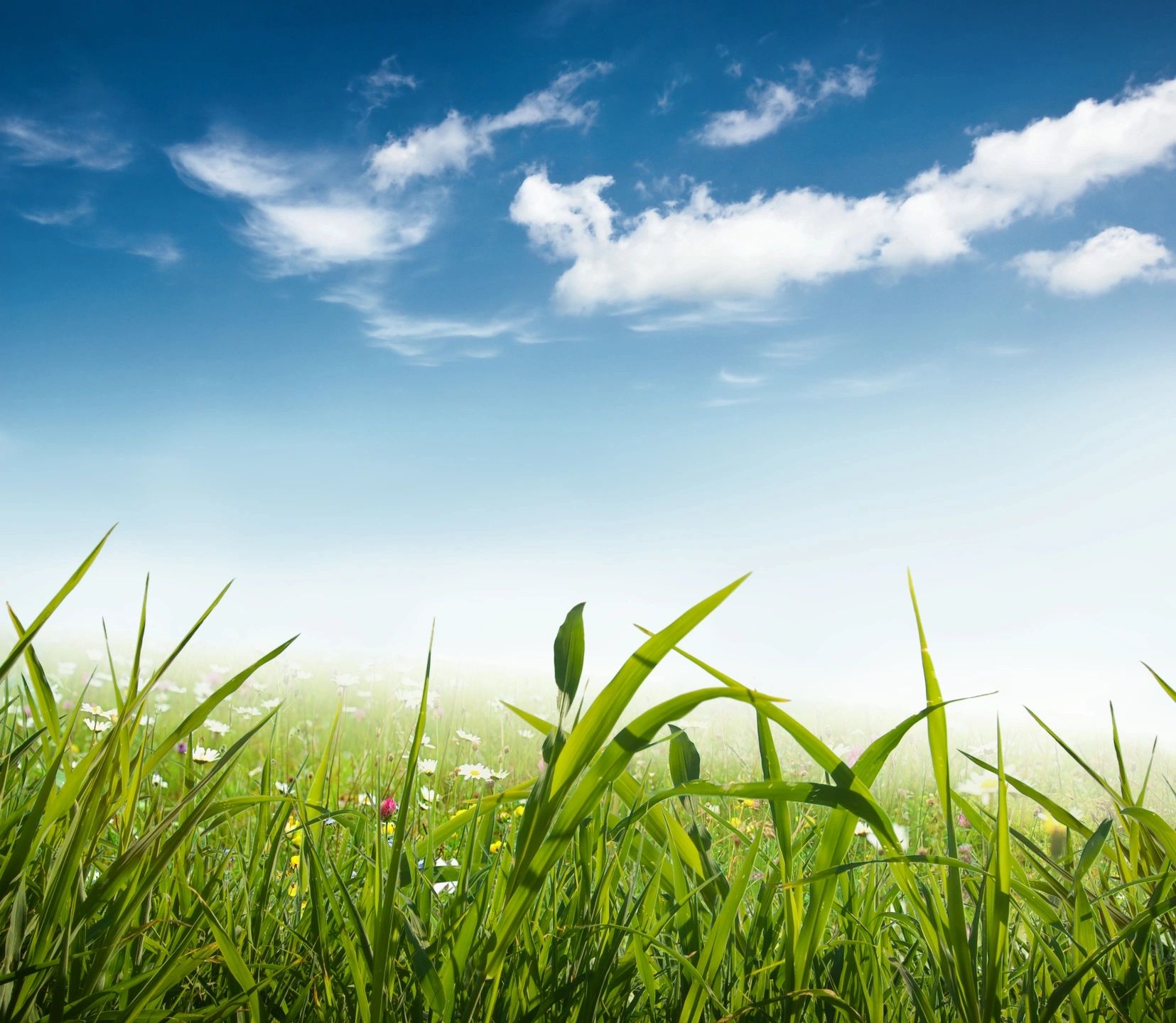 The Impact of Cloud-based NEMT Dispatch Software